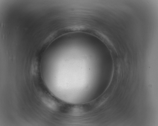 X0000083600308200702091227