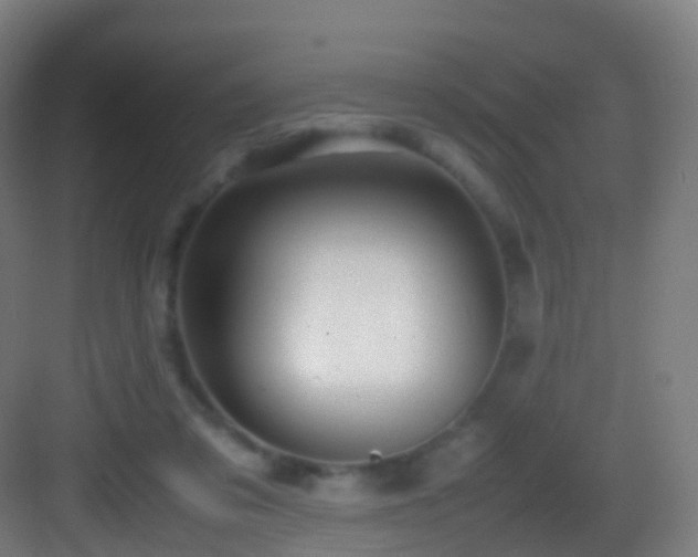 X0000083600309200702091227