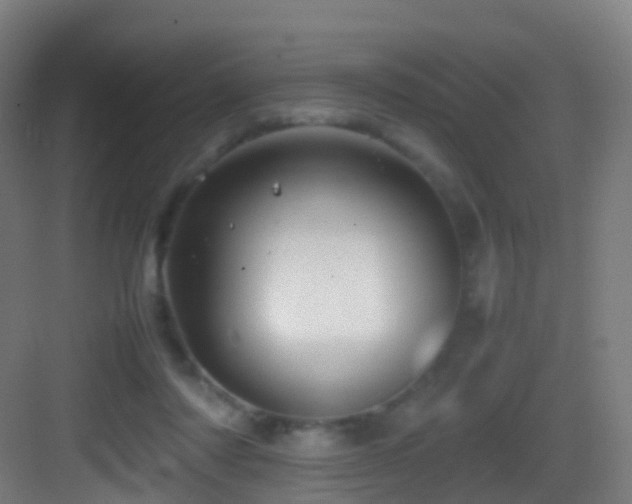 X0000083600310200702091227