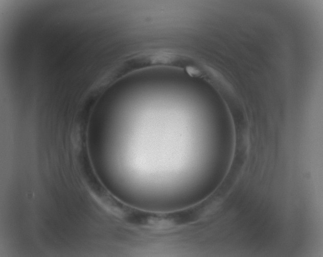 X0000083600311200702091227