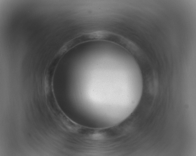 X0000083600312200702091227