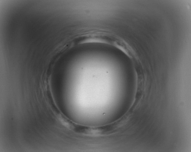 X0000083600313200702091227