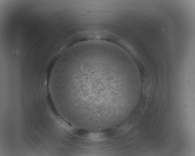 X0000083600314200702091227