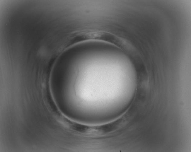 X0000083600315200702091227