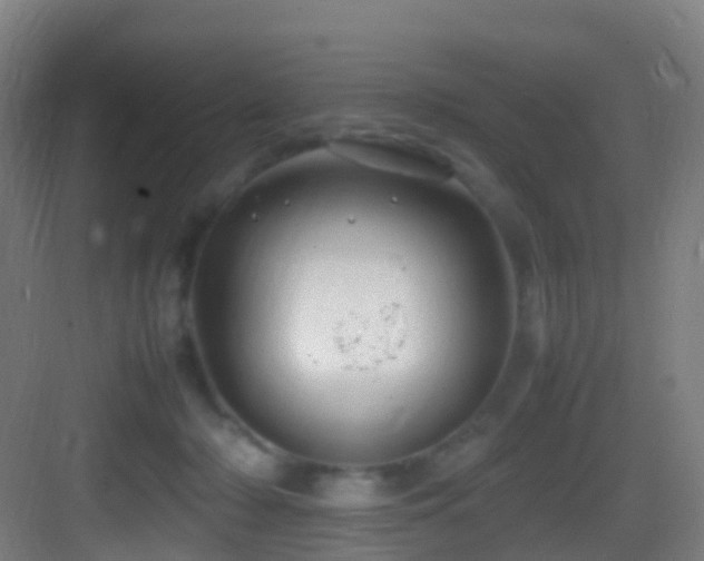 X0000083600318200702091227