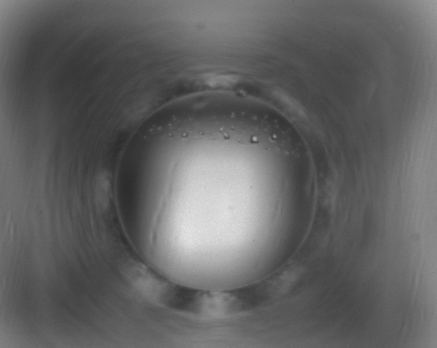 X0000083600321200702091226