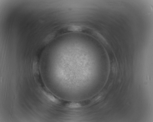 X0000083600322200702091226