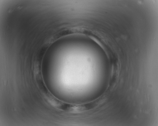 X0000083600323200702091226