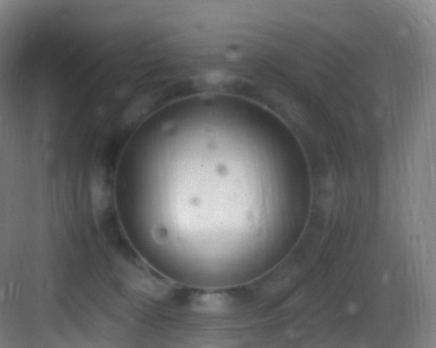 X0000083600324200702091226