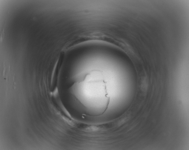 X0000083600326200702091226