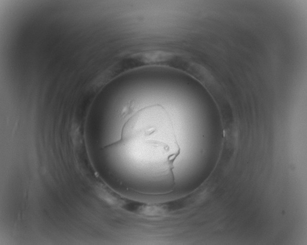 X0000083600327200702091226