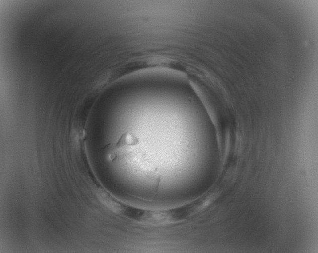 X0000083600329200702091226