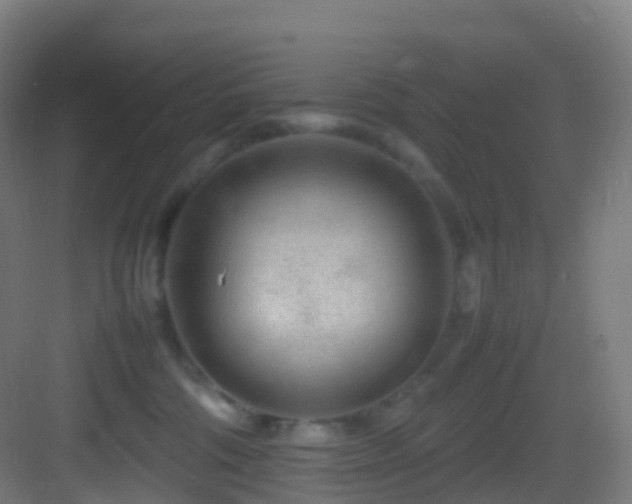 X0000083600330200702091226