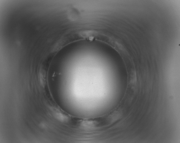 X0000083600332200702091226