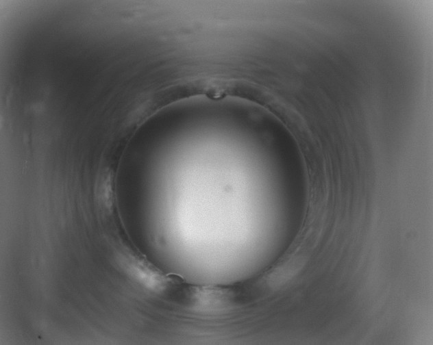 X0000083600336200702091226