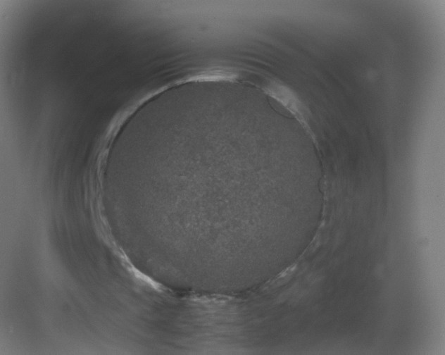 X0000083600337200702091225