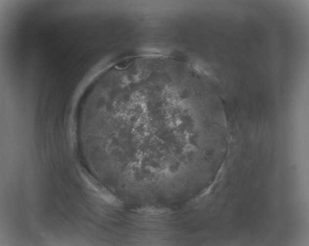 X0000083600343200702091226