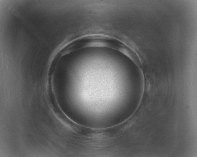 X0000083600344200702091226