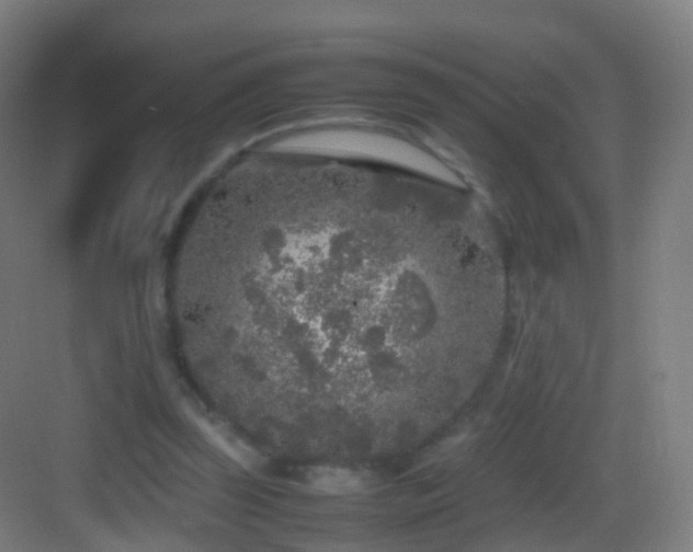 X0000083600347200702091226