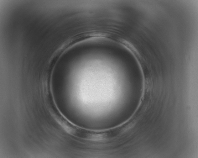 X0000083600349200702091226