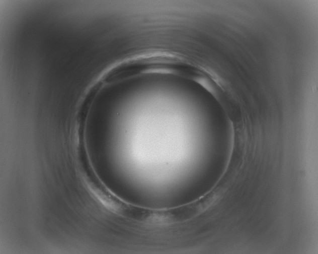 X0000083600350200702091226