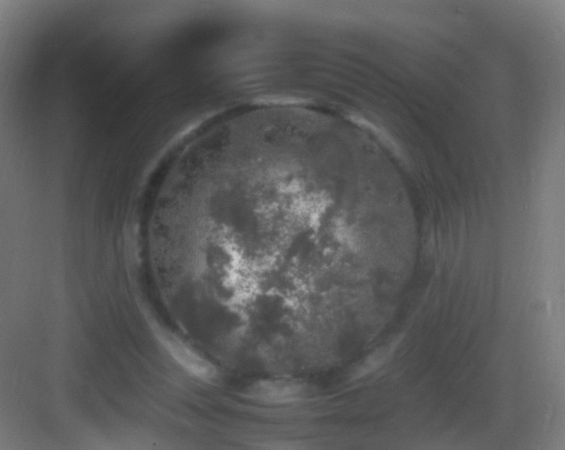 X0000083600351200702091226