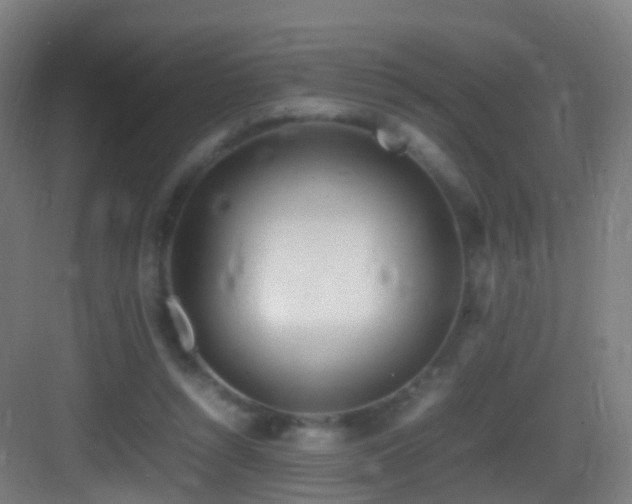 X0000083600352200702091226