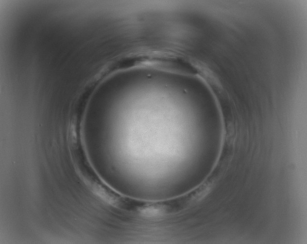 X0000083600358200702091226