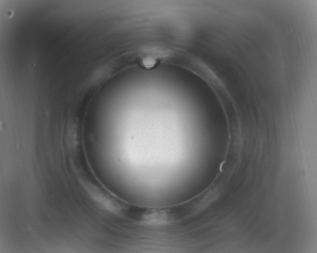 X0000083600362200702091226