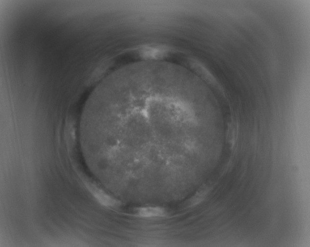 X0000083600363200702091226