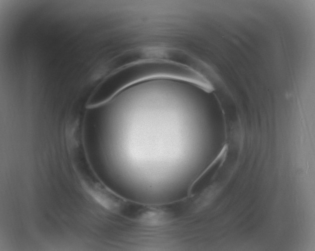 X0000083600364200702091226