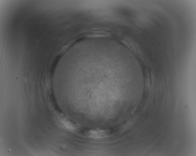 X0000083600367200702091226