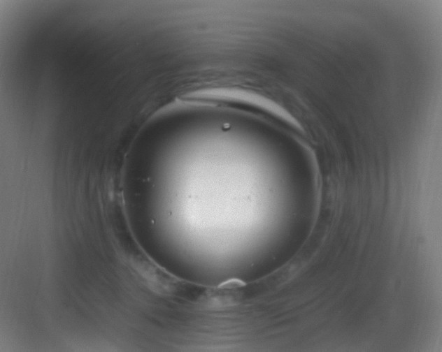 X0000083600368200702091226