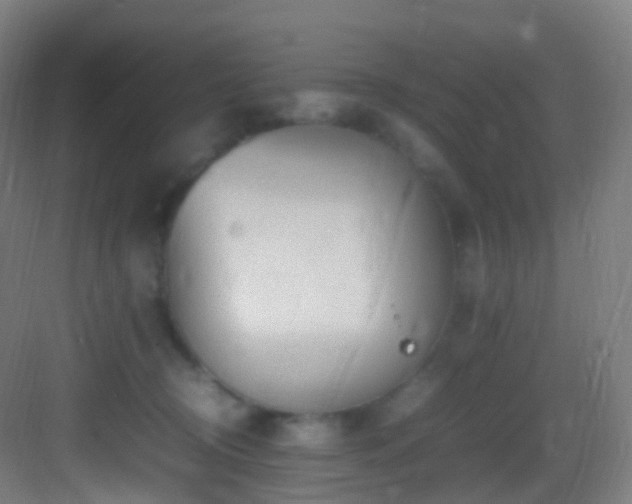 X0000083600370200702091226