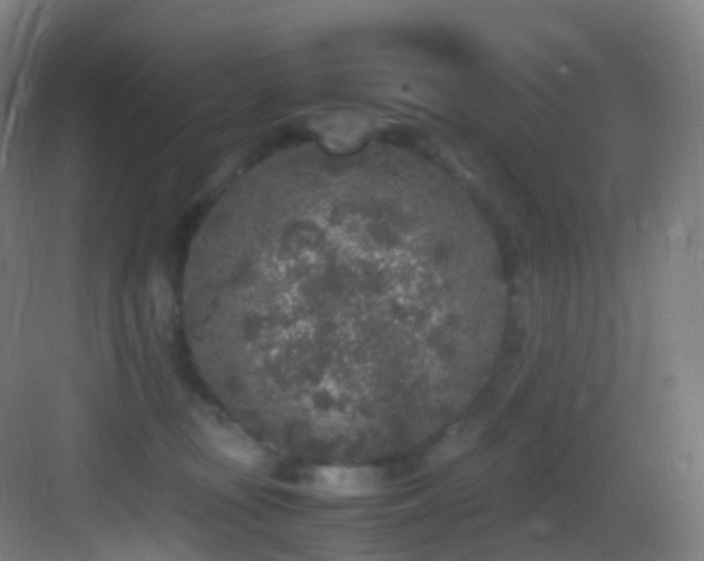 X0000083600371200702091226