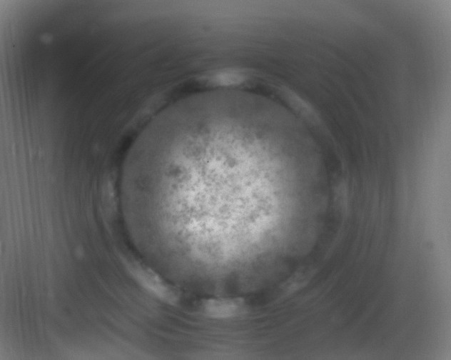 X0000083600373200702091226