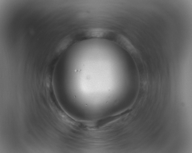 X0000083600374200702091226