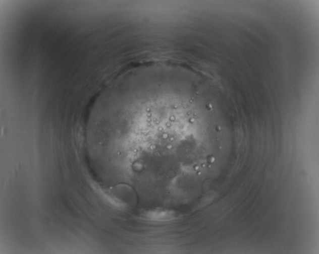 X0000083600375200702091226