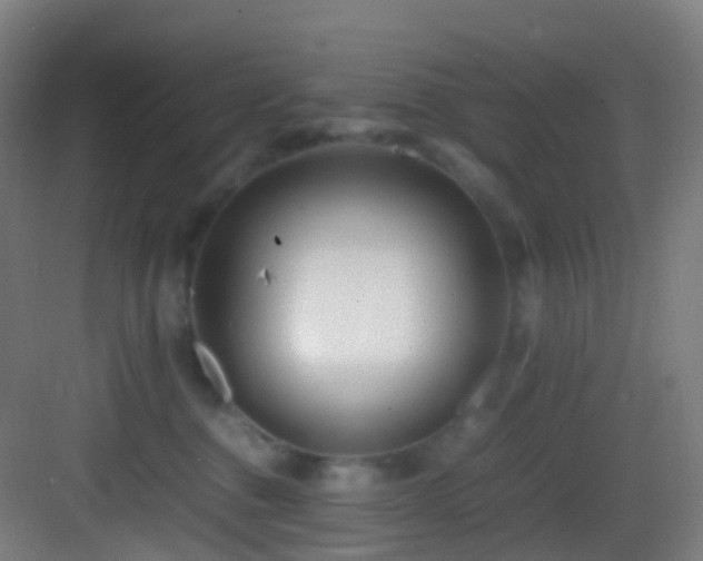 X0000083600376200702091226