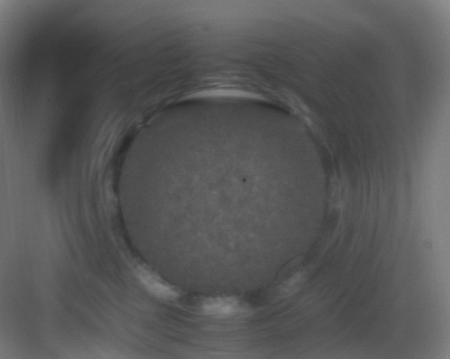 X0000083600377200702091226