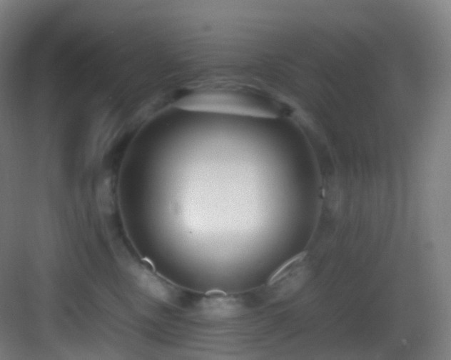 X0000083600378200702091226