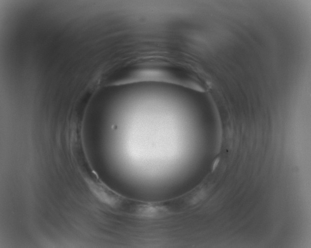 X0000083600379200702091226