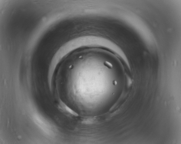 X0000083600382200702091226