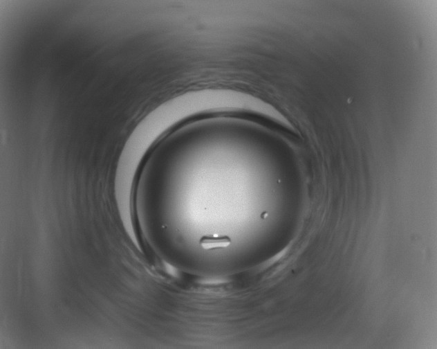 X0000083600384200702091226