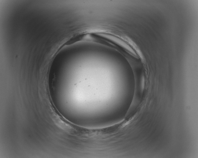 X0000083600385200702091225