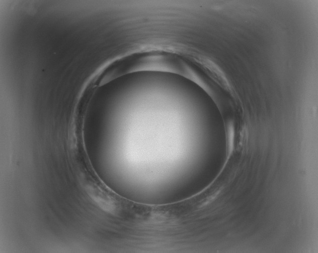 X0000083600388200702091225