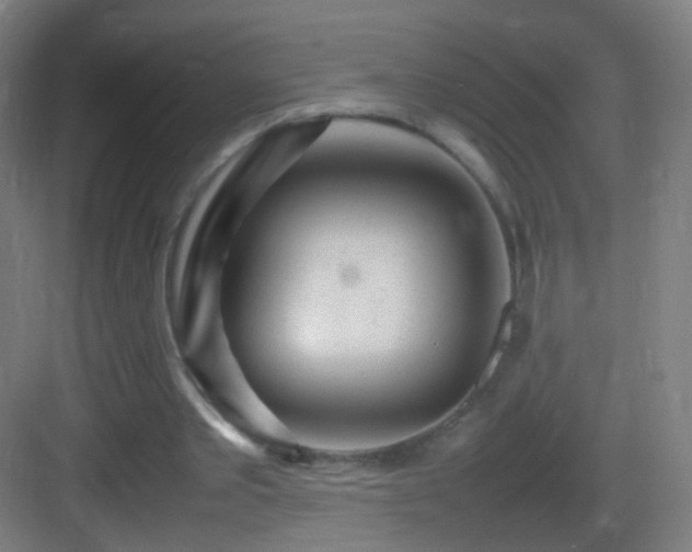 X0000083600389200702091225