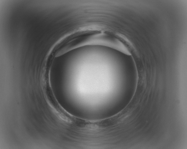 X0000083600392200702091225