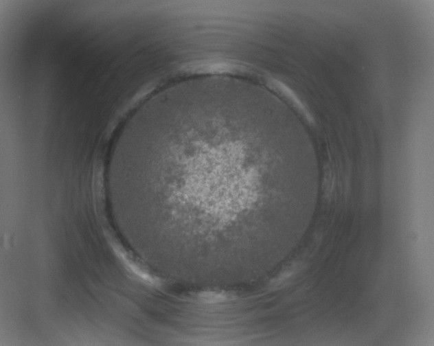 X0000083600394200702091225