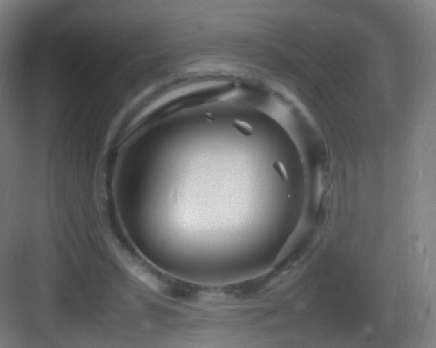 X0000083600399200702091225